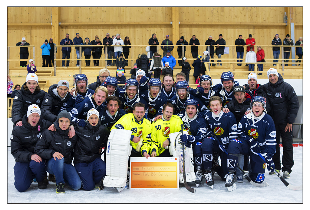 Falu BS vinnare av Leksands Sparbank Cup 2014