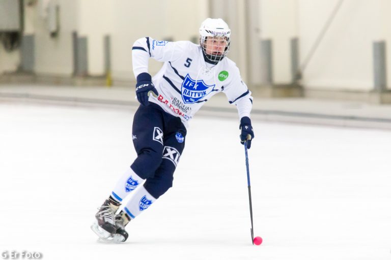 LUDDE BJERNULF