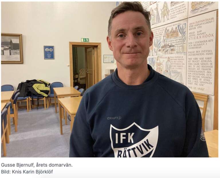Årets domarvän